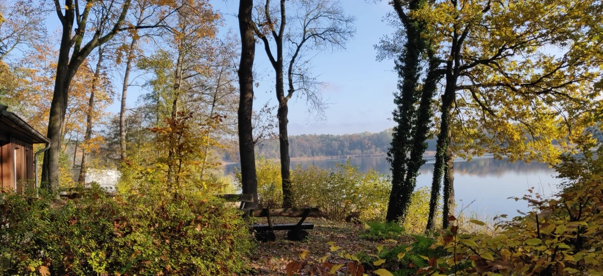 Herbstlicher See im Berliner Grunewald