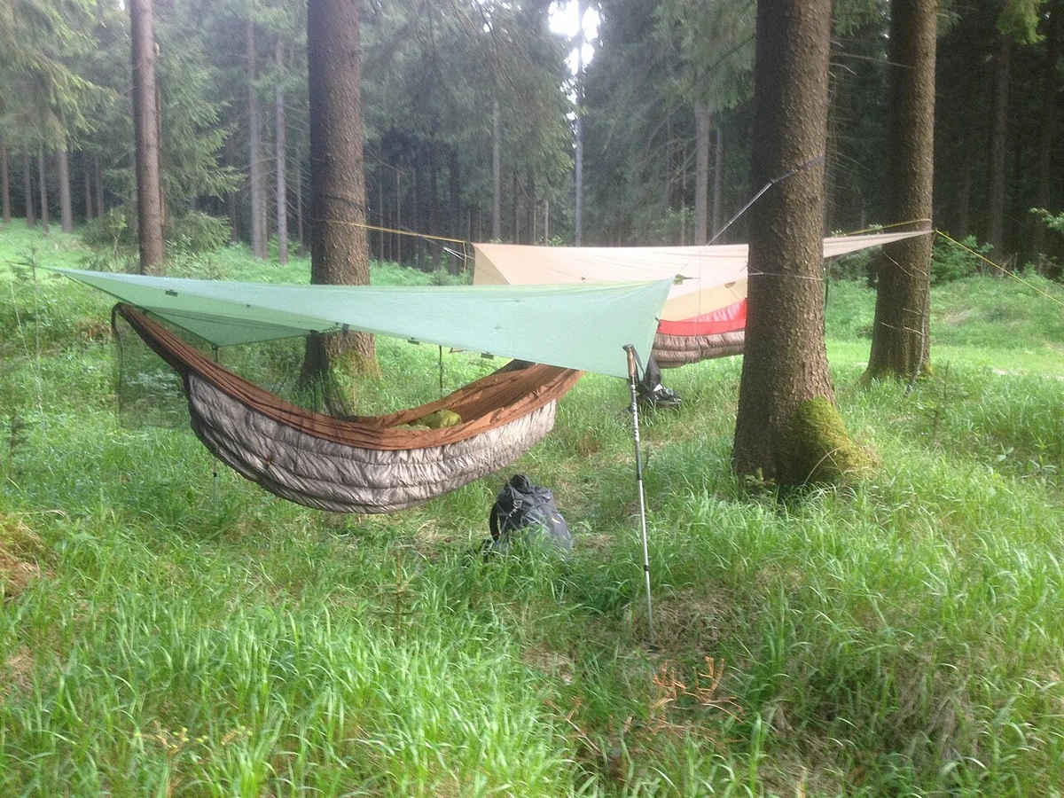 Zwei Hängematten mit Tarps zwischen Nadelbäumen auf grüner Waldwiese