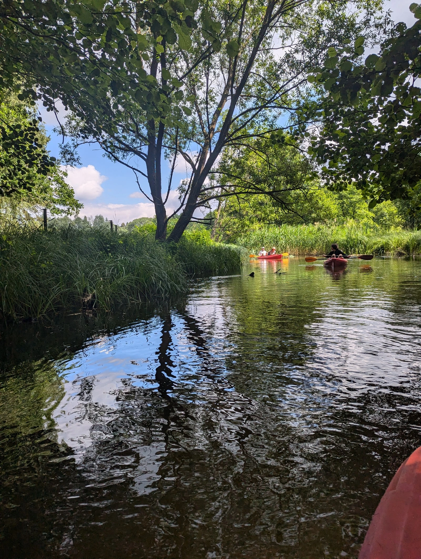 Kajakgruppe auf einem grünen Kanal in Brandenburg