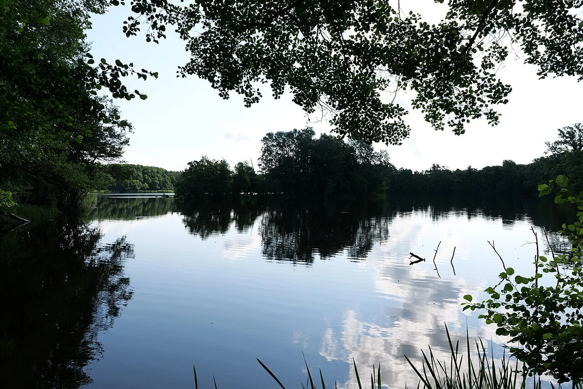 Amtssee bei Kloster Chorin — spiegelnder See mit Buchenwald-Silhouette