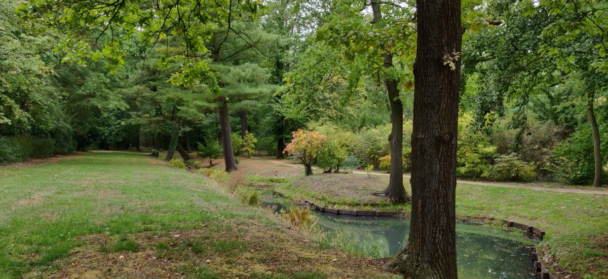 Park mit Bach und üppigen Bäumen in Brandenburg