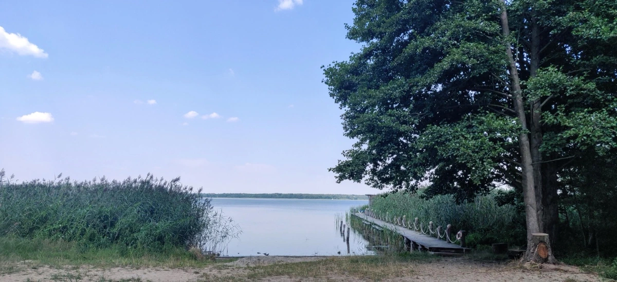 See mit Holzsteg und großer Eiche