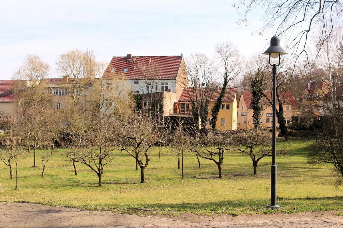 Streuobstwiese in Kloster Lehnin im März: kahle, niedrig verzweigte Obstbäume auf einer Wiese, dahinter Wohnhäuser mit roten Dächern