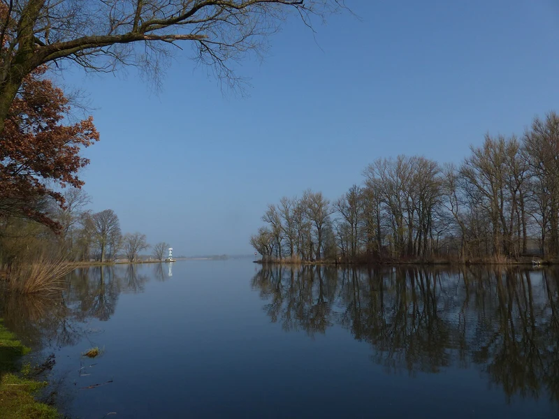 Biber-Exkursion in Westhavelland & Brandenburg an der Havel