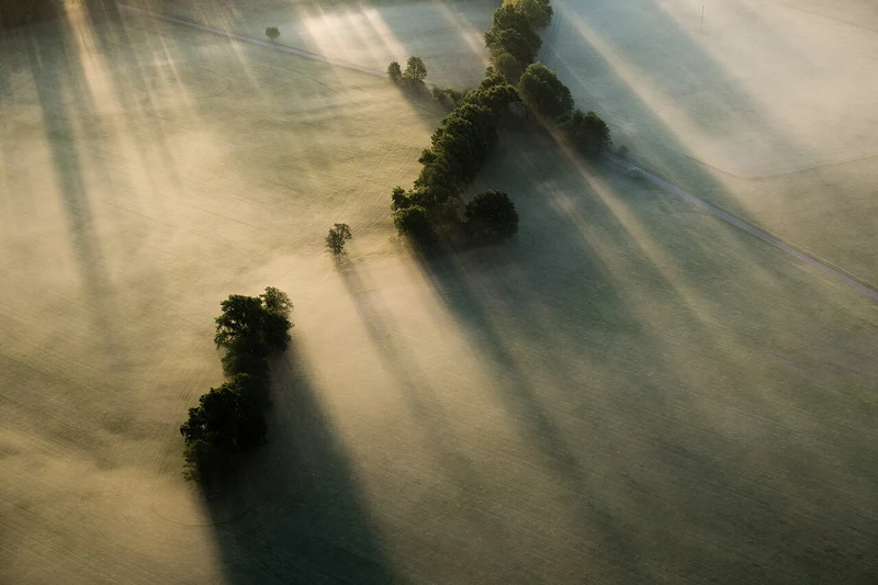 Nebliger Sonnenaufgang im Naturpark Hoher Fläming