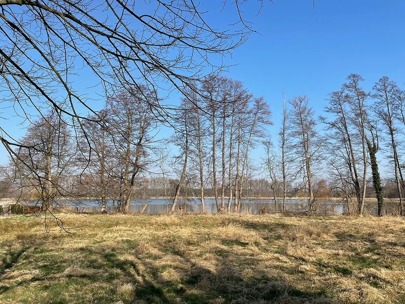 Gutssee in Heidesee-Streganz