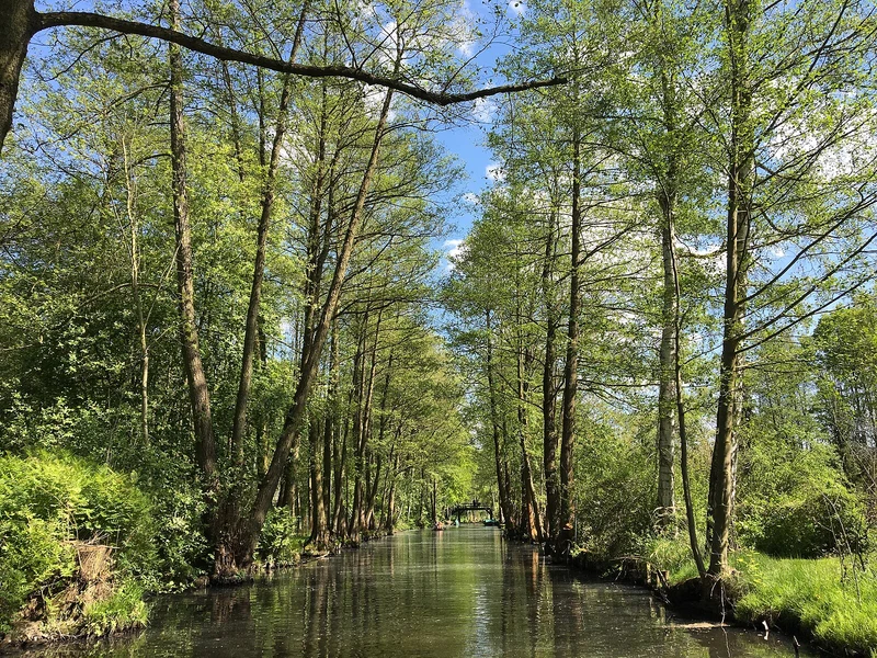Wasserkanal umgeben von Bäumen — Dahme-Seenland bei Königs Wusterhausen
