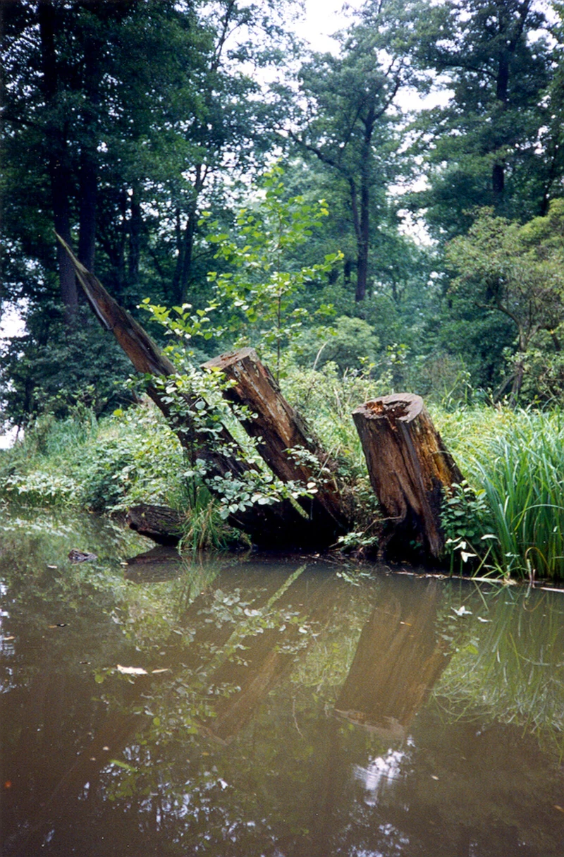 Stiller Wasserlauf durch grüne Landschaft — Dahme bei Prieros