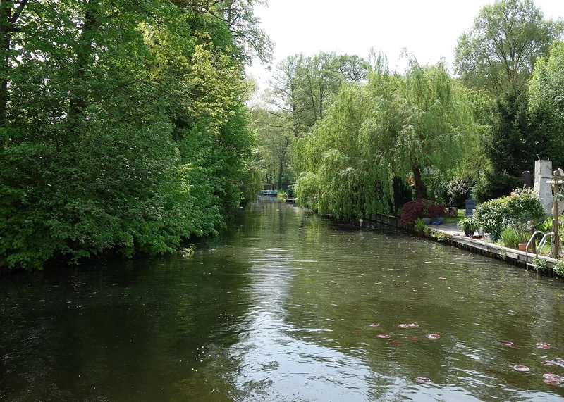 Müggelsee-Ufervegetation im Mai - Trauerweide und üppiges Grün am Wasser.