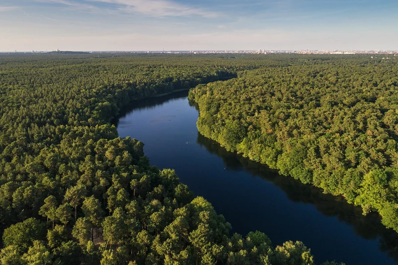 Krumme Lanke im Grunewald im Juni - waldumrandeter Naturbadesee mit Blick auf Berliner Skyline.