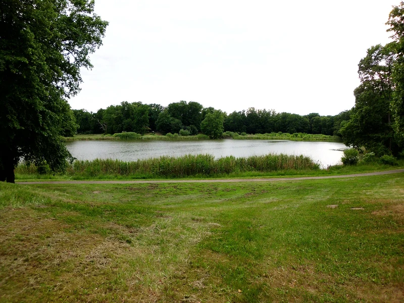 Haussee bei Schloss Petzow im Juni - sanftes Wald-Ufer am Schwielowsee, Brandenburg-Idyll.