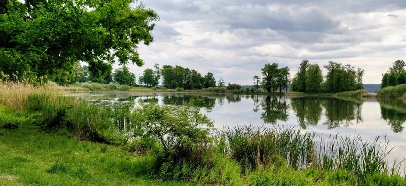 Grünes Havel-Ufer bei Werder mit Spiegelungen