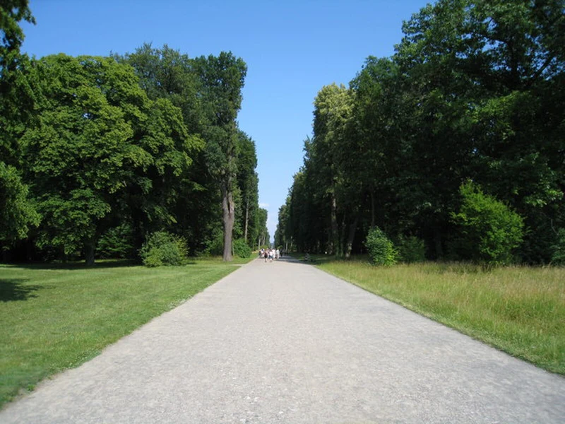 Hauptallee im Park Sanssouci, Potsdam — baumgesäumter Parkweg