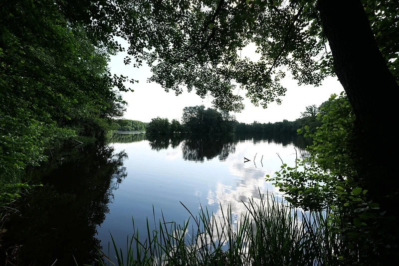 Amtssee in Chorin