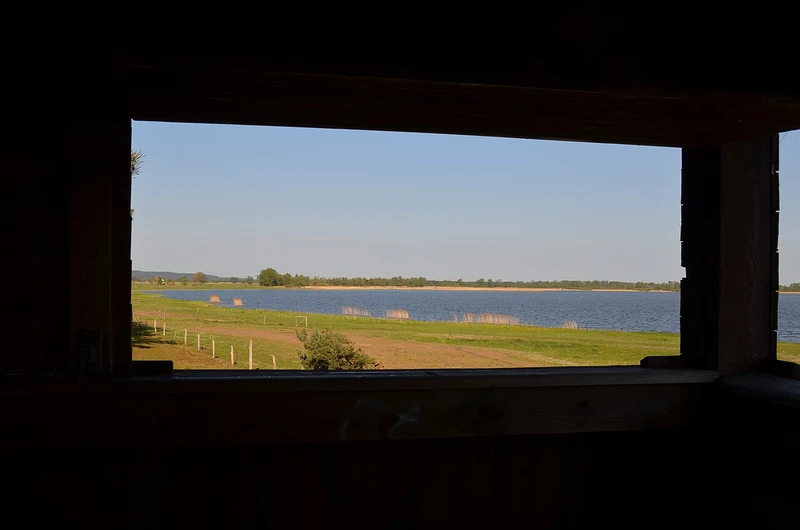 Aussichtsturm am Gülper See im Naturpark Westhavelland