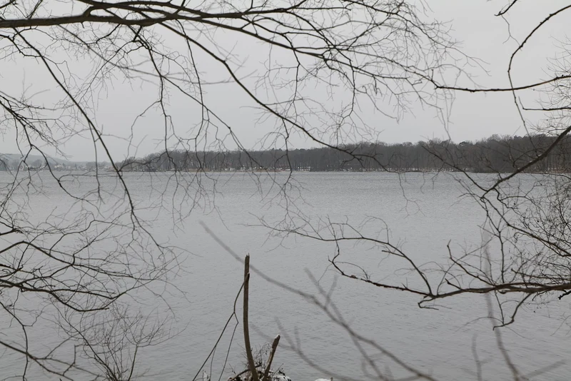 Blick durch kahle Äste auf den Templiner See in Potsdam an einem Februartag, am Ufer liegt etwas Schnee