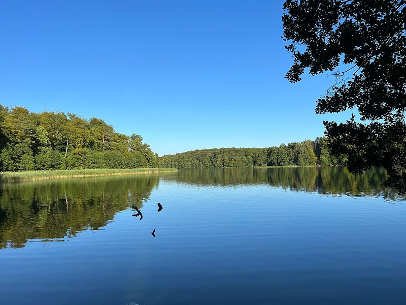 Liepnitzsee bei Lanke an einem Sommerabend, Wandlitz