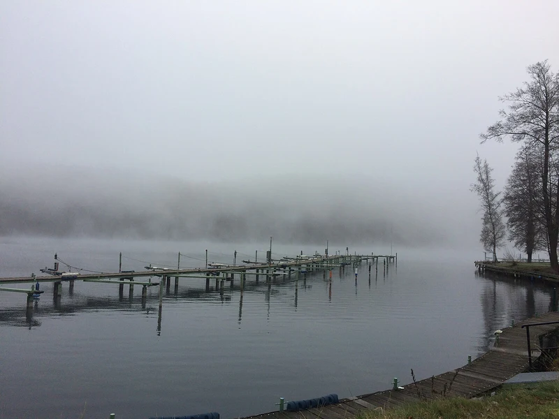 Dezembermorgen-Nebel am Werbellinsee, Biosphärenreservat Schorfheide-Chorin
