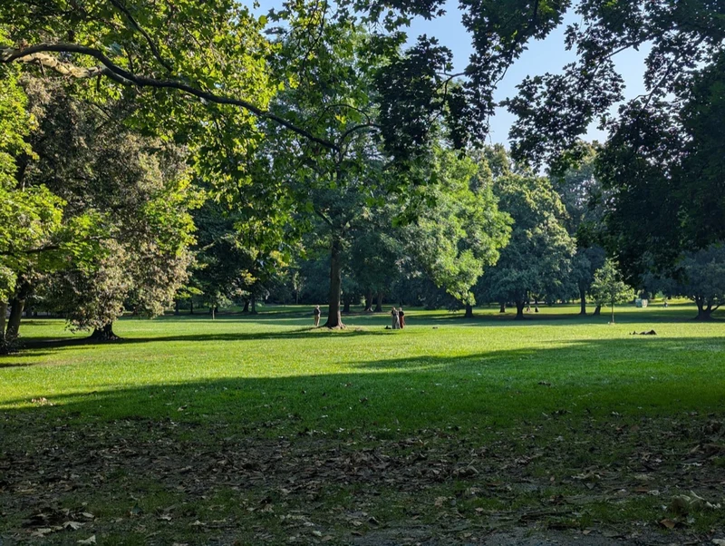 Grüne Parklandschaft im Berliner Tiergarten — typischer Ort für Kräuterwanderungen in der Stadt
