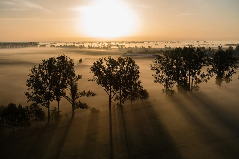 Nebliger Sonnenaufgang im Naturpark Hoher Fläming, weite Heidelandschaft