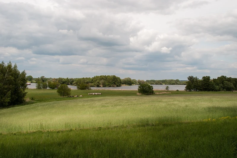 Blick vom Golmberg bei Götz über die Havelwiesen, Landschaftsschutzgebiet Brandenburger Osthavelniederung