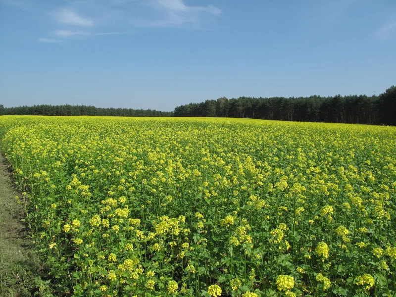 Kategorie Ernährung & Landwirtschaft