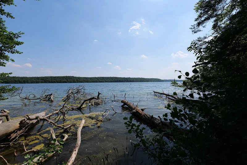 Kategorie Wasser