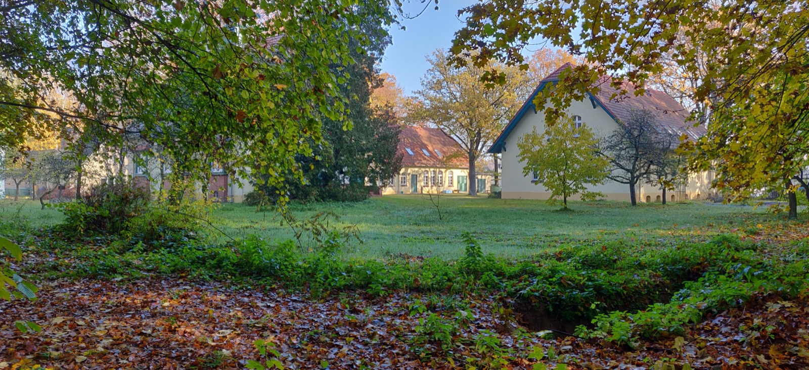 Brandenburger Bauernhof durch Herbstlaub im Morgennebel