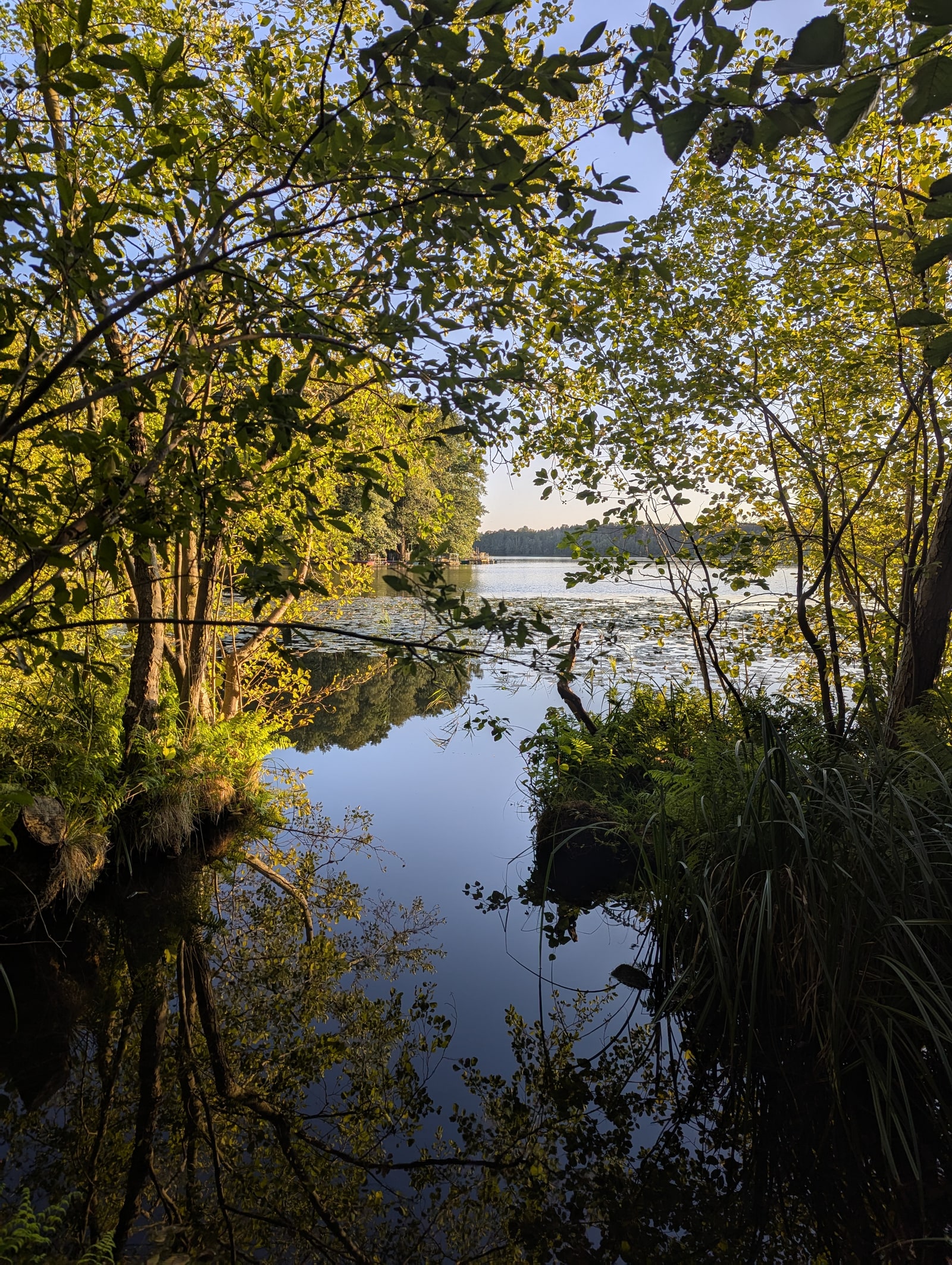 Stiller See in Brandenburg, durch Bäume gerahmt