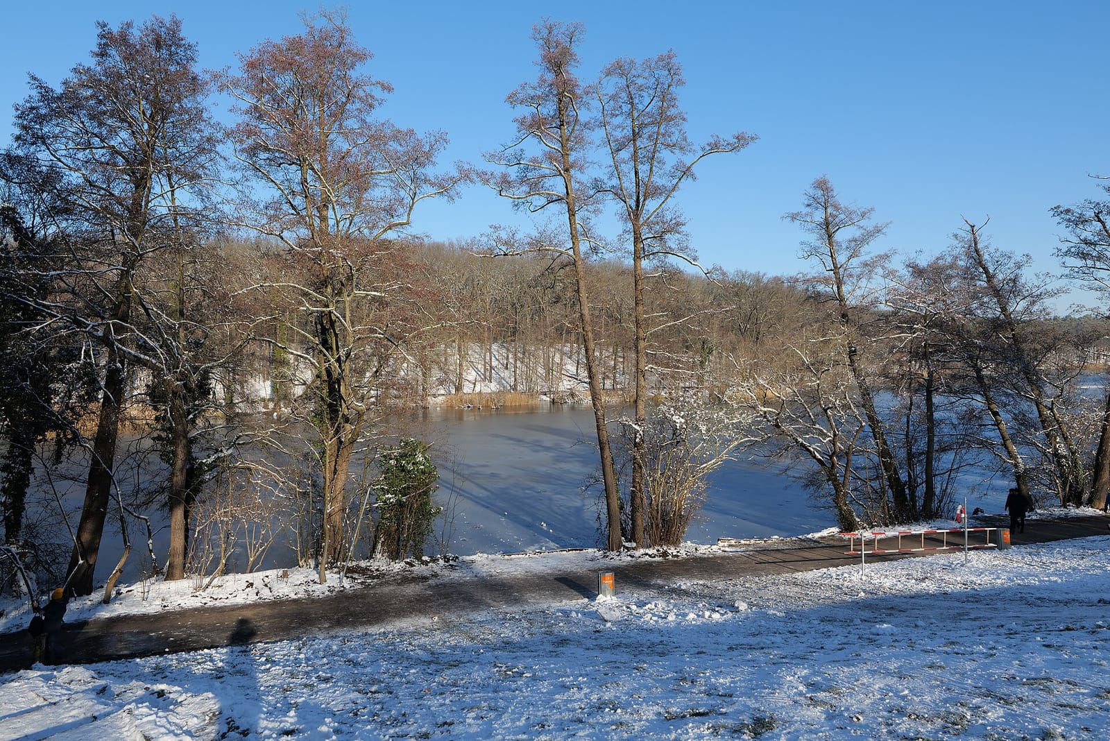 Verschneites Ufer des Schlachtensees im Januar, kahle Bäume, dahinter offenes Wasser