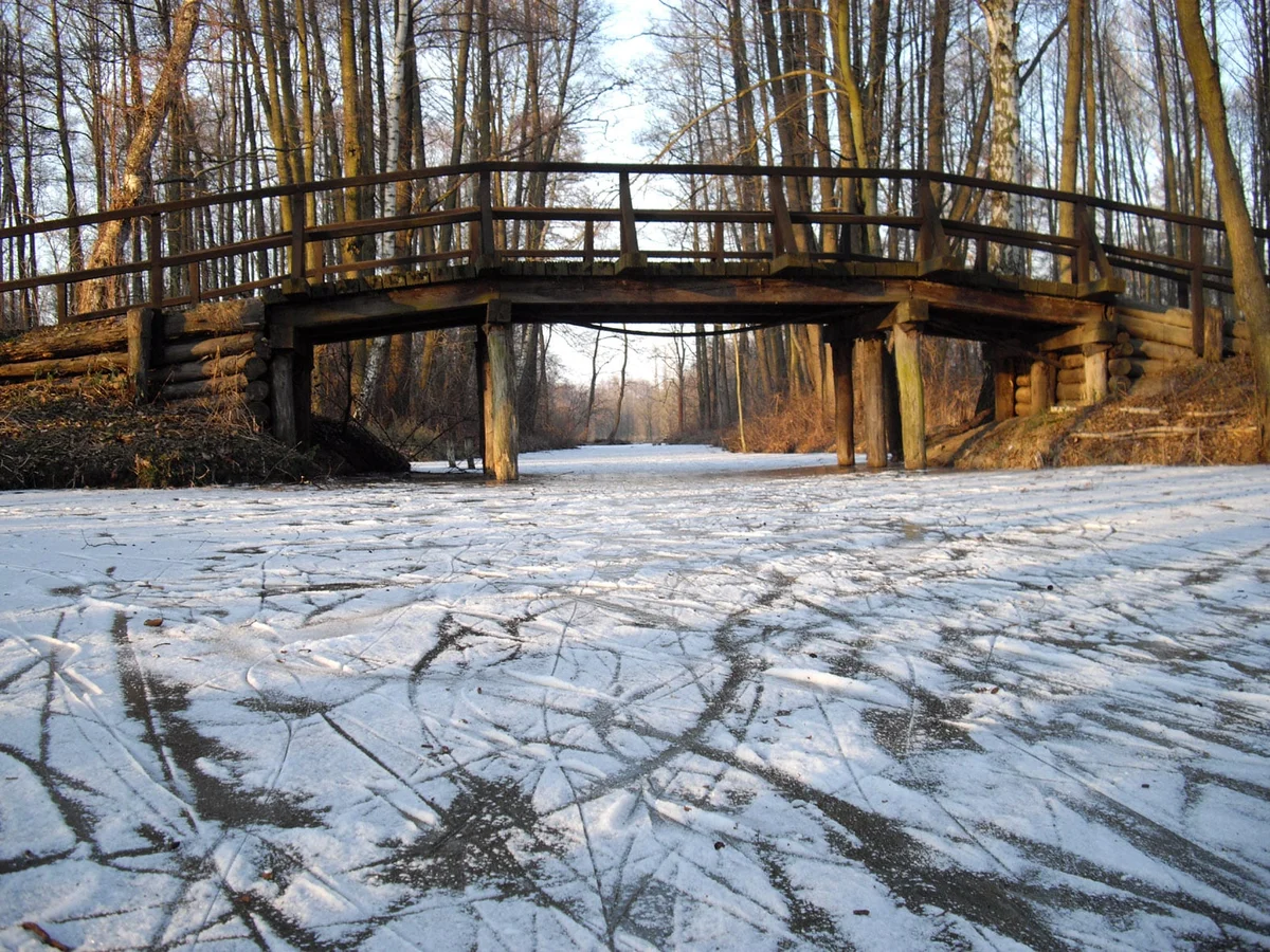Holzbrücke über ein vereistes Fließ im Spreewald bei Lübbenau im Winterlicht