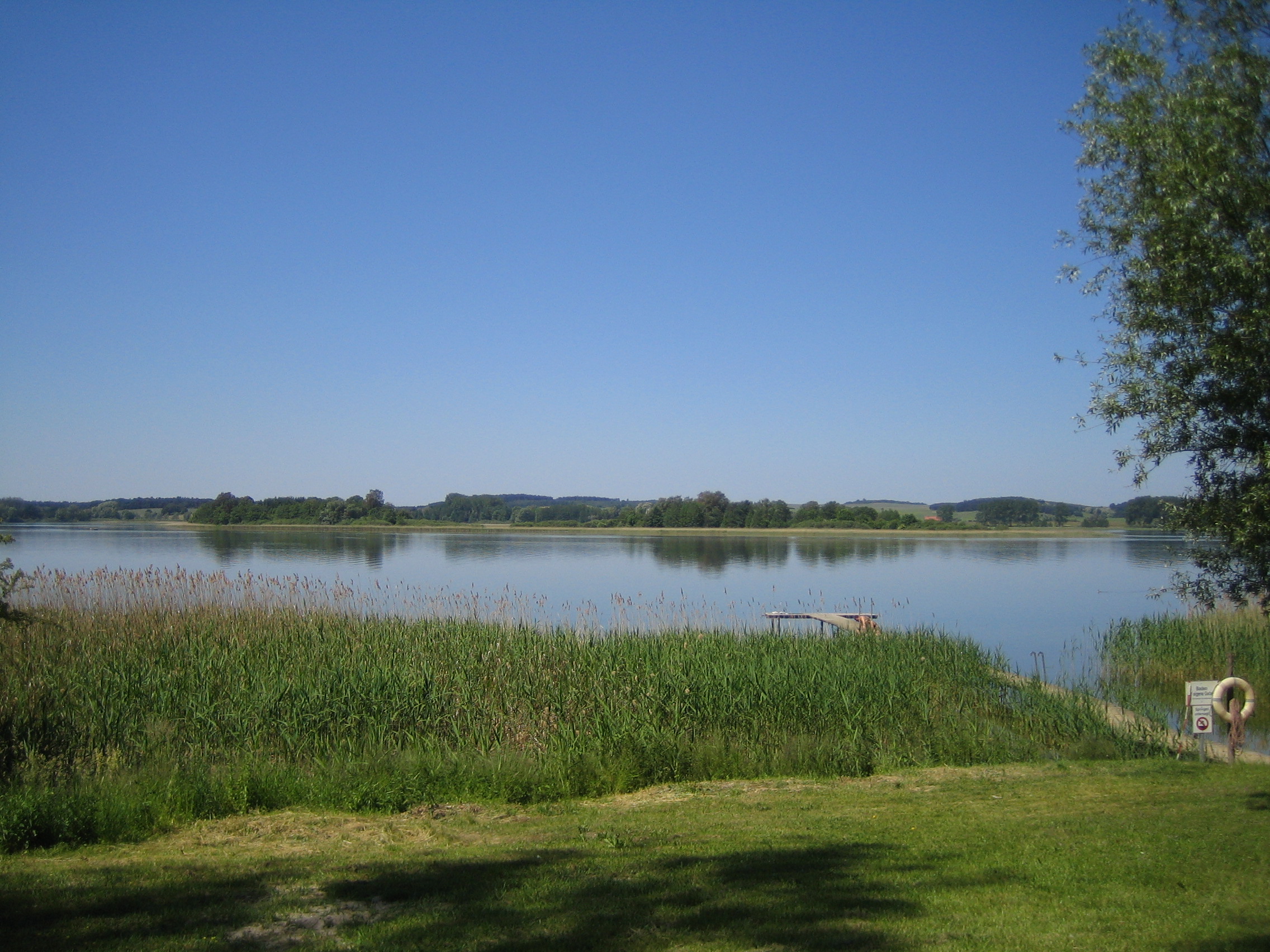 Badestelle am Oberuckersee bei Warnitz — Badesteg hinter dem Schilfgürtel, flache Liegewiese im Junilicht