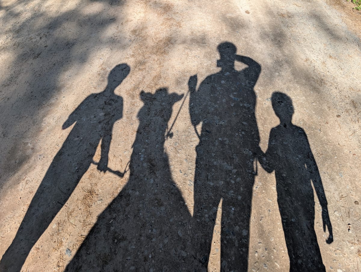 Schattenbild einer Familie mit Esel auf einem Sandweg in tiefstehender Sonne