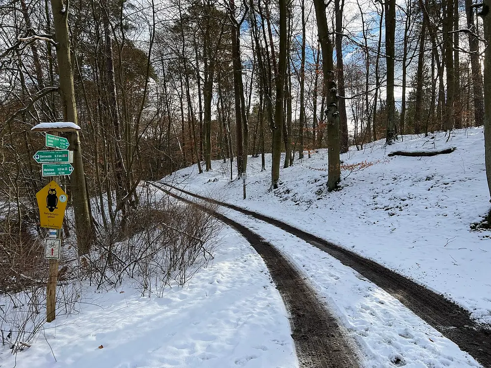 Verschneiter Waldweg mit Wegweisern im Naturschutzgebiet Nonnenfließ-Schwärzetal bei Eberswalde im Januar