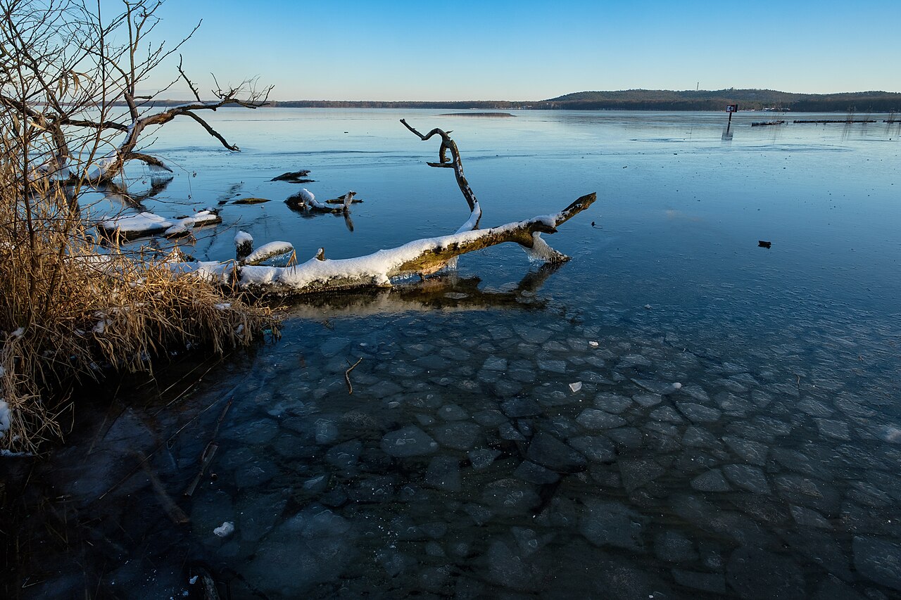Ufer des Müggelsees mit Eisschollen und verschneitem Treibholz